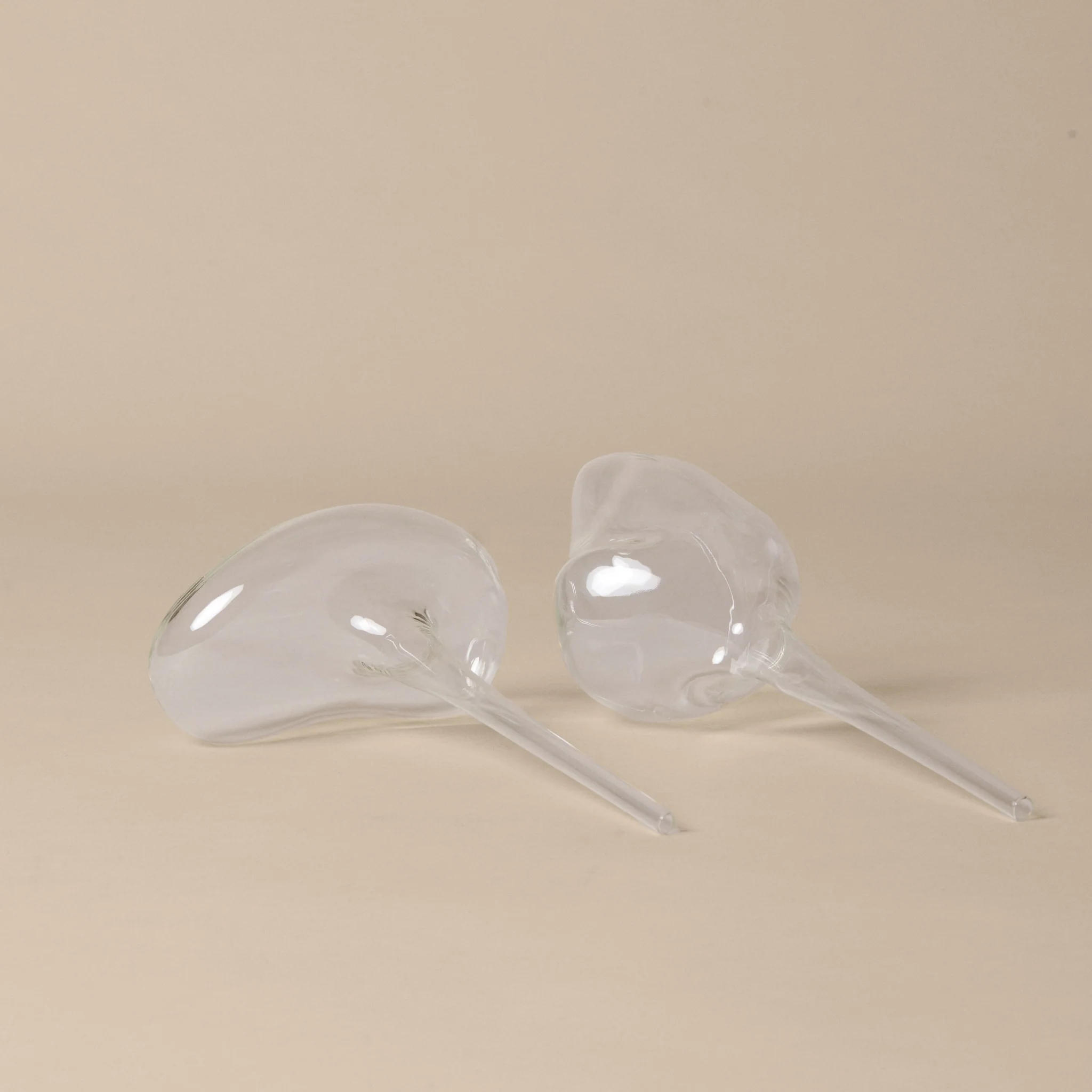 FERM LIVING Mercury Plant Water Globes, Clear (Set of 2) - Image 6