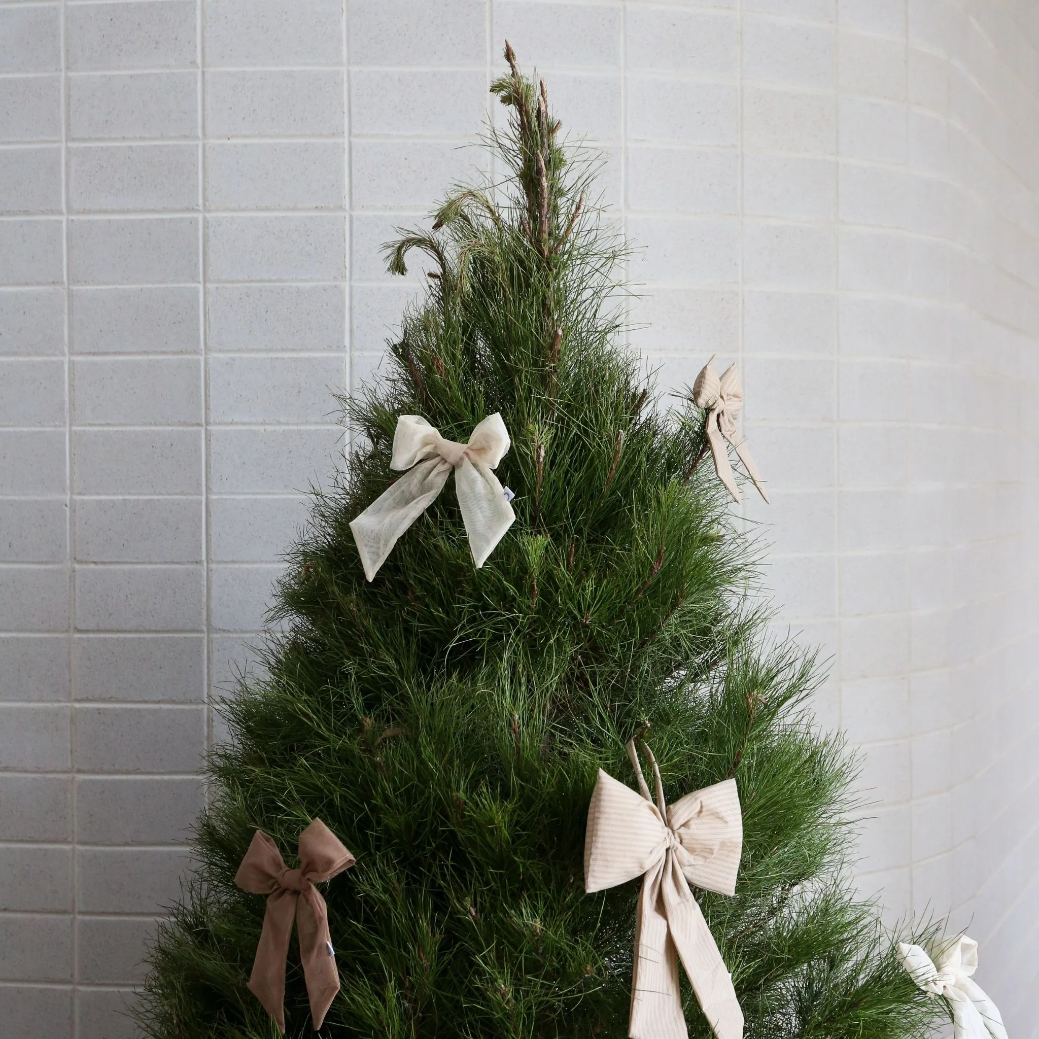 Gift With Purchase | DESIGNSTUFF LUVA Bow Set ($67.60) - Image 4