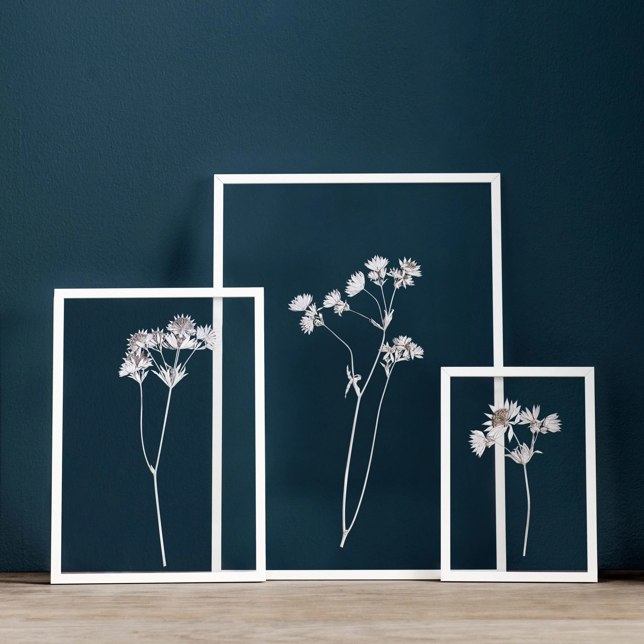 MOEBE Frame, White Powder Coat – 4 Sizes - Image 11