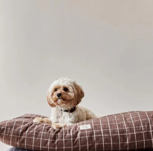 OYOY ZOO Kyoto Dog Cushion, Choc (3 Sizes) - Image 5