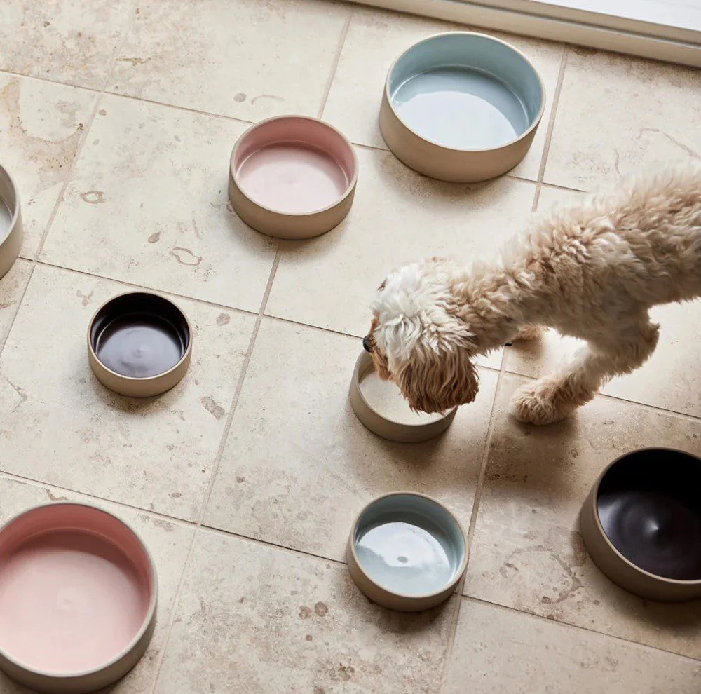 OYOY ZOO Sia Dog Bowl, White - 3 Sizes - Image 3