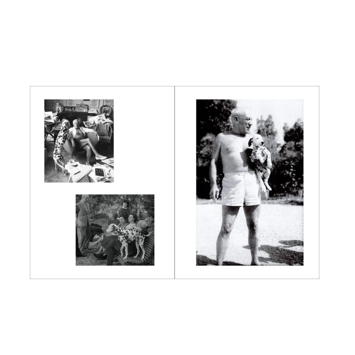 Picasso and his Dogs Coffee Table Book - Image 5